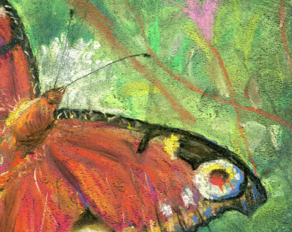 Orange Butterfly 7 by 5 - Giclée Fine Art Print