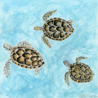 Sea Turtles 8 by 8 - Giclée Fine Art Print