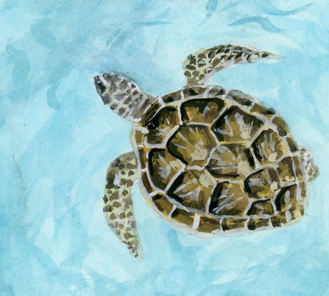 Sea Turtles 8 by 8 - Giclée Fine Art Print
