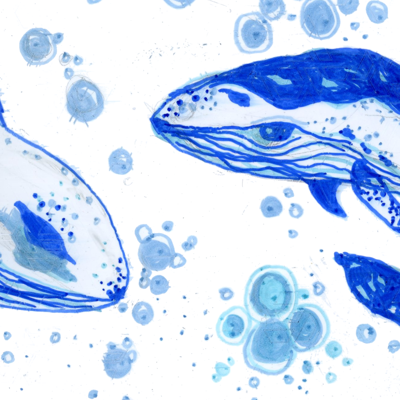 Blue Whales 5 by 7 - Giclée Fine Art Print