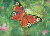 Orange Butterfly 7 by 5 - Giclée Fine Art Print